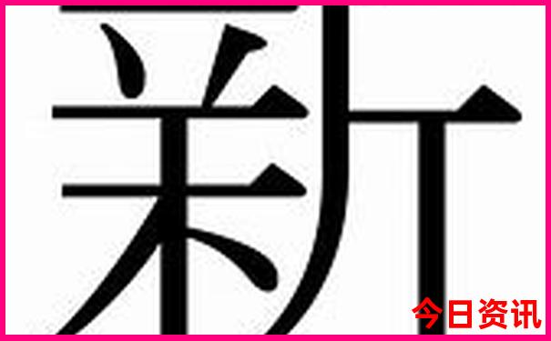 刘丹个人介绍
